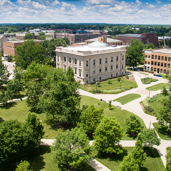 Aerial photo showing trees in the university quad in summer with blue sky and a white building in the background. 